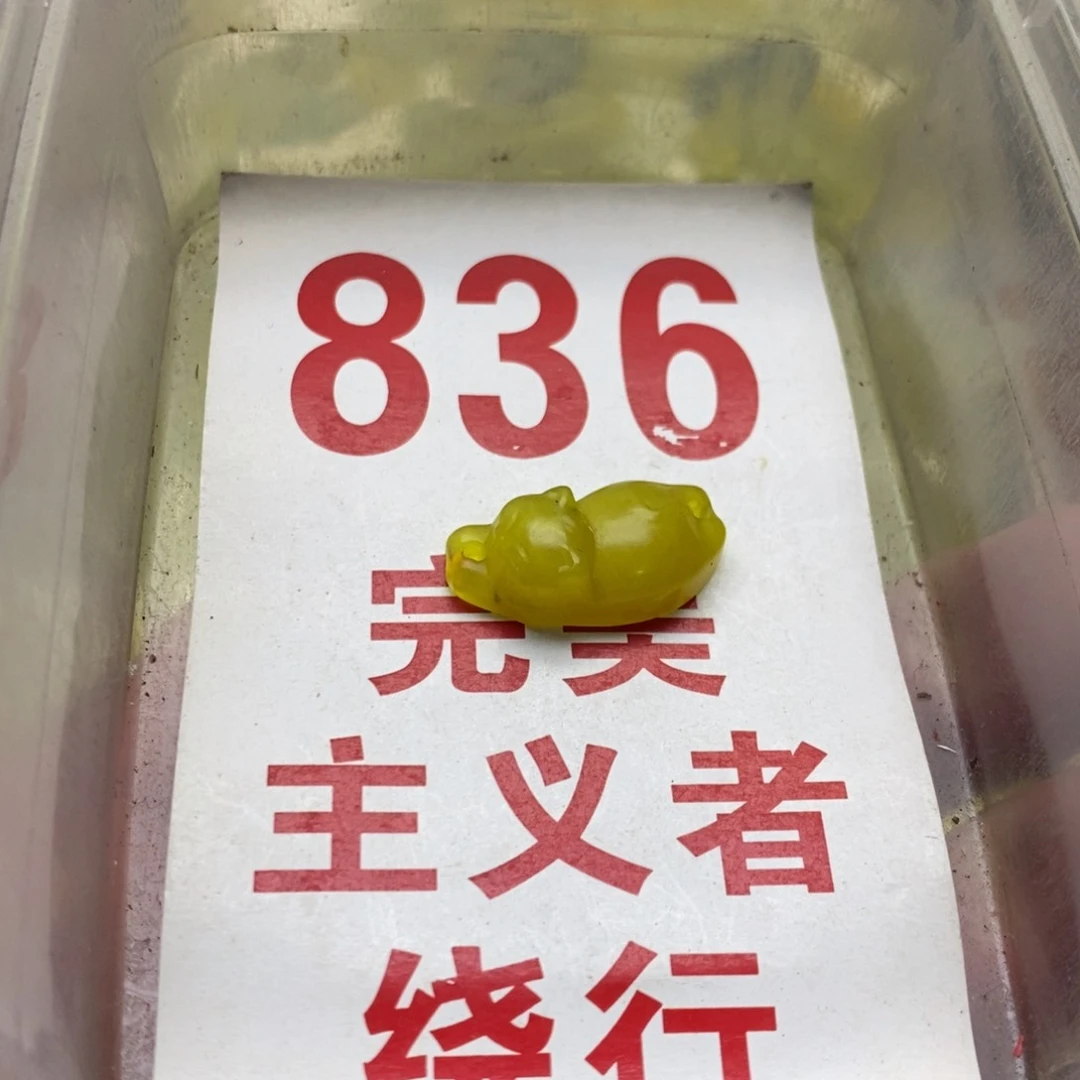 蛇纹石玉未镶嵌挂坠