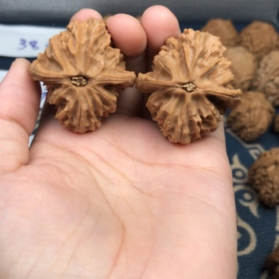 同***喔文玩核桃把件野生核桃