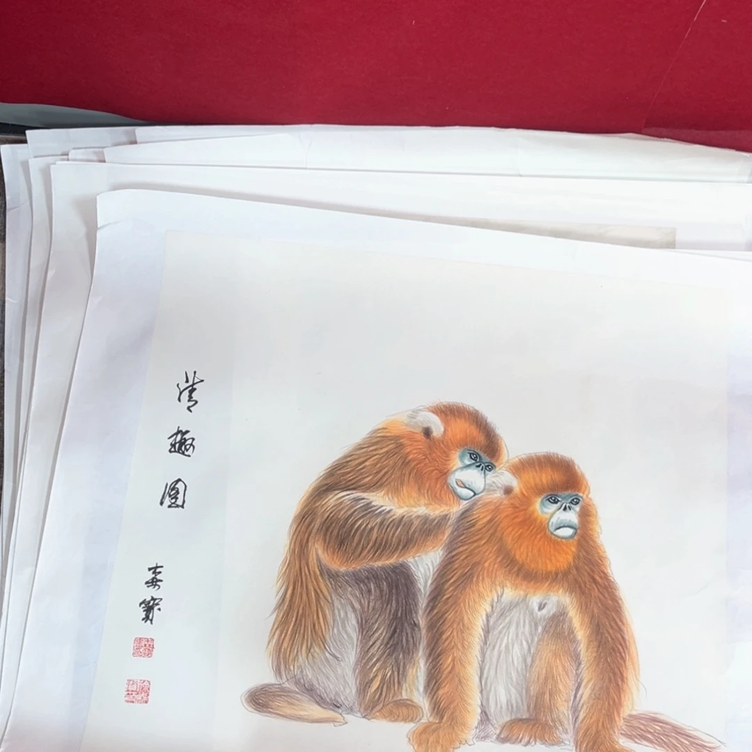 *****国画徐森宝老师四尺斗方花鸟qiqi
