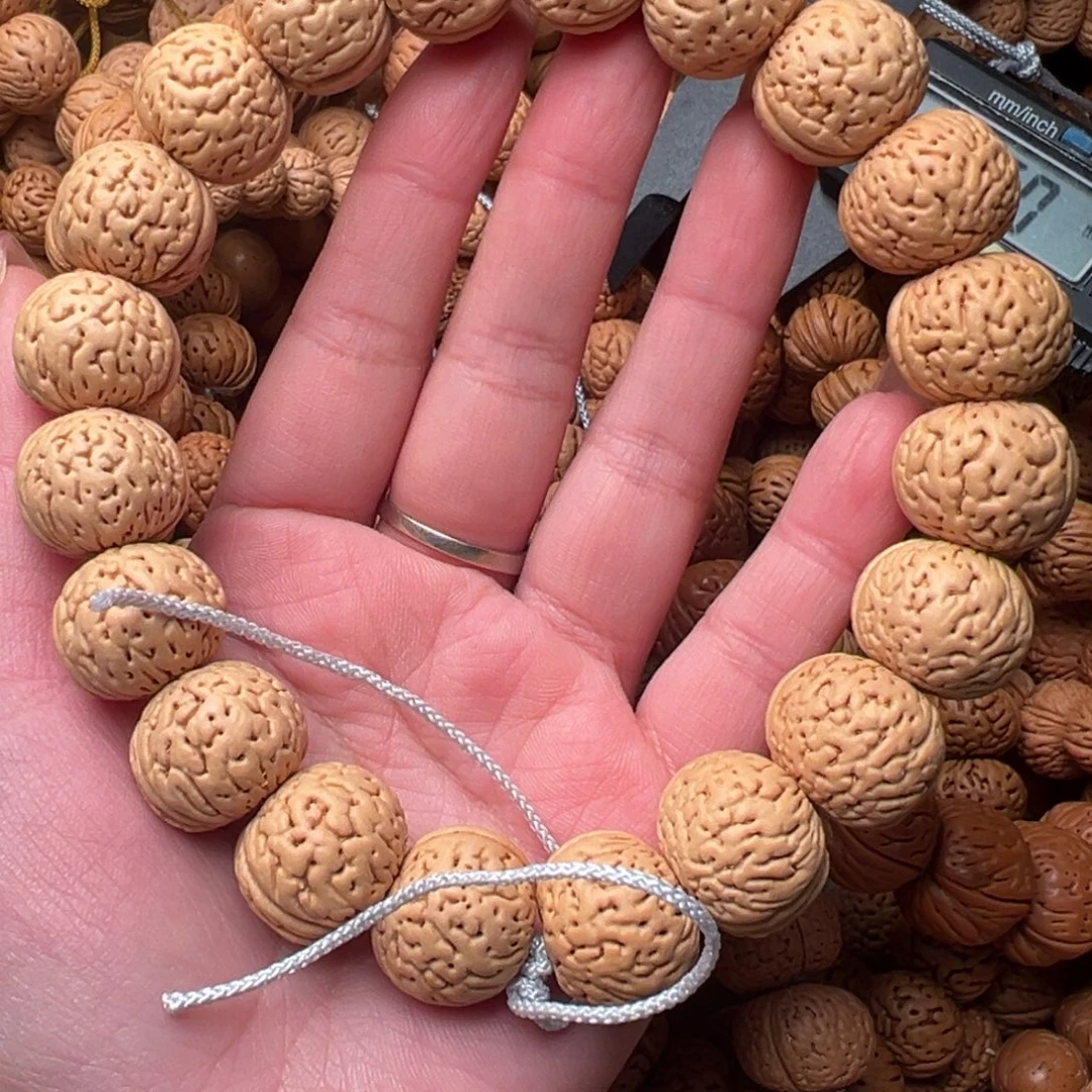 18尺寸苹果圆桃核手持