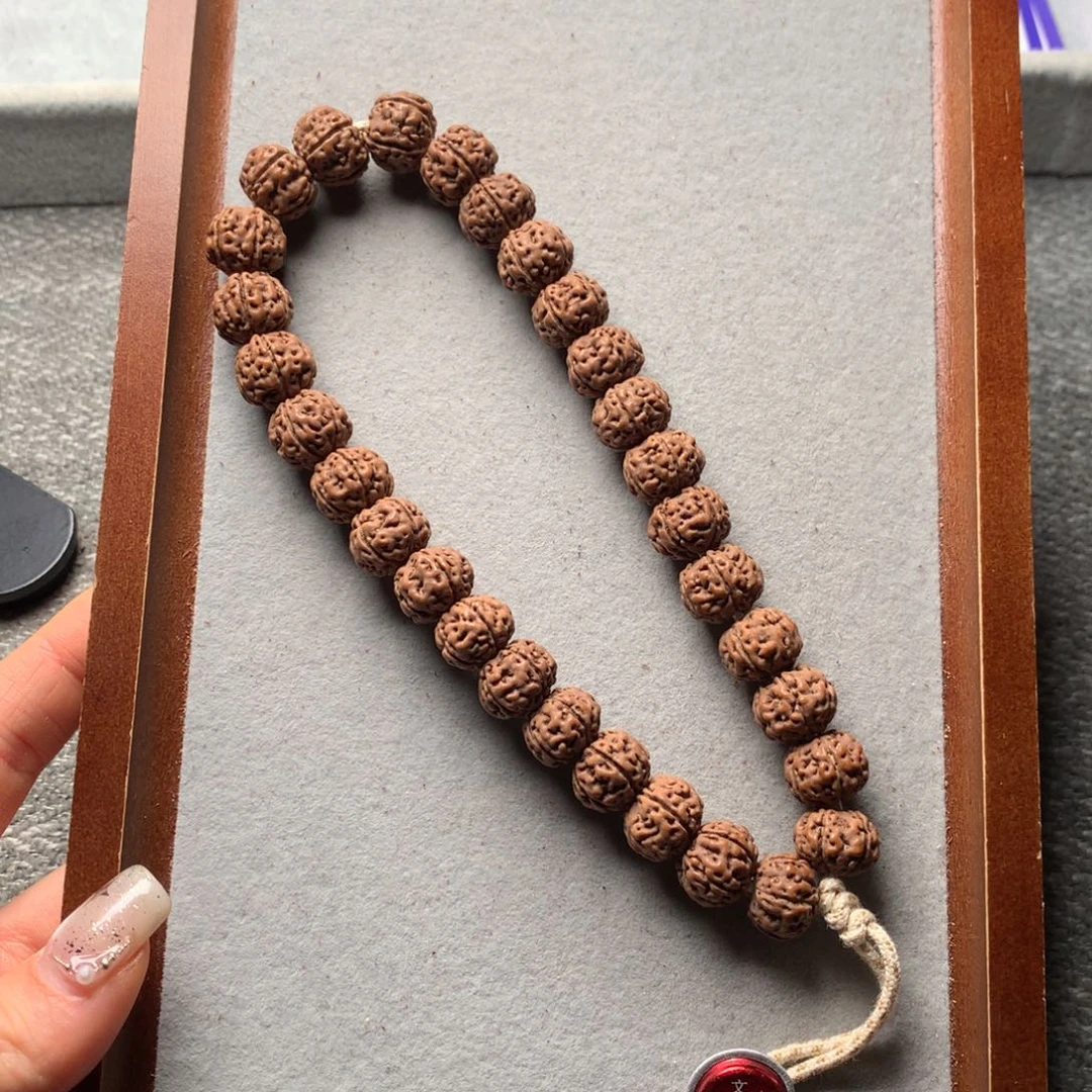 手串金刚菩提老树王