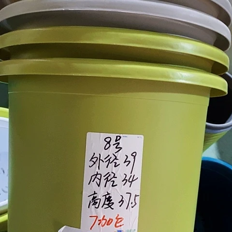 四季8号灰白色3个无托