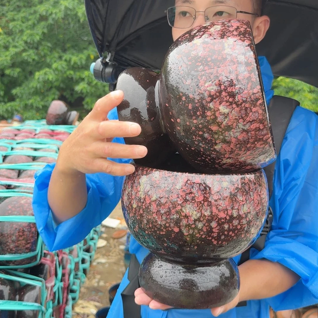 紫砂花盆口19高19（两个紫球