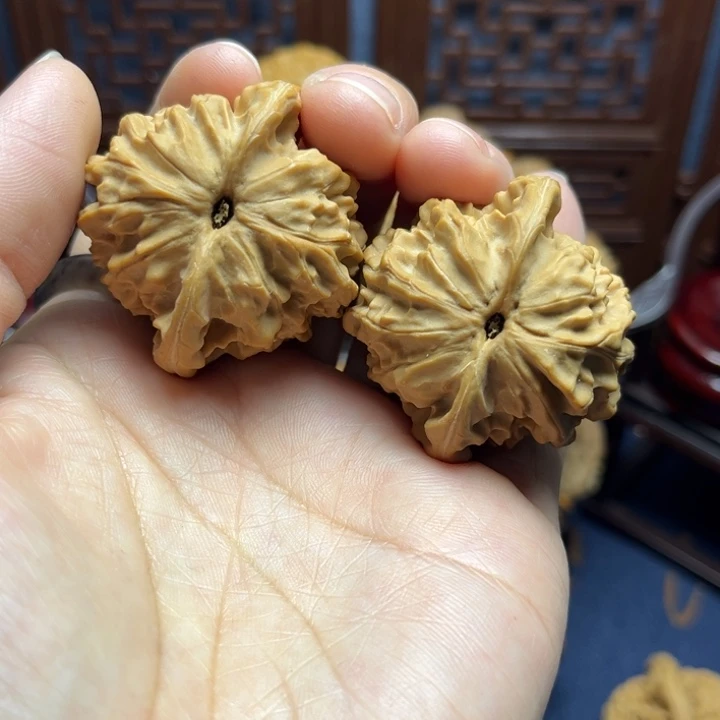 核桃无名小众4.0全品无修