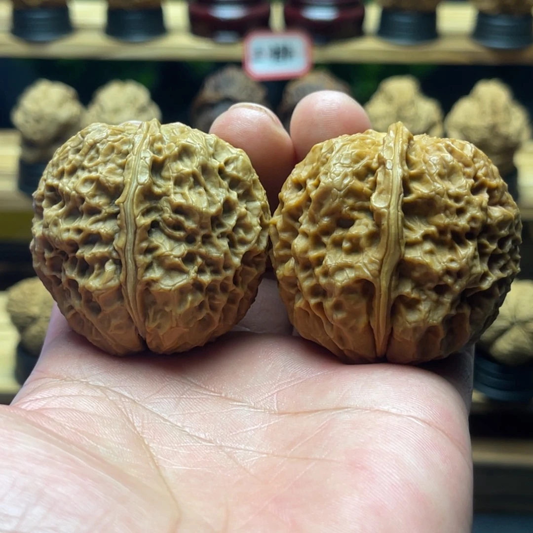 核桃46mm芭蕉扇 一物一图