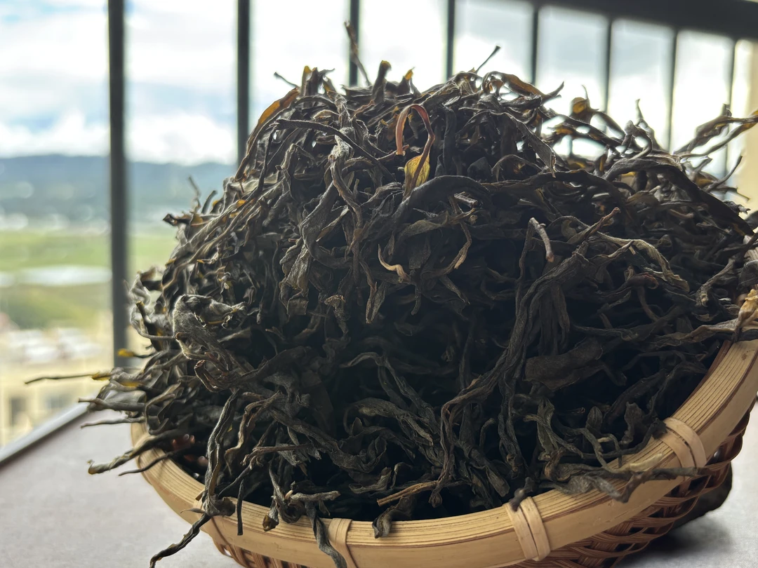 云南普洱茶昌宁普洱生茶生普一号 散茶
