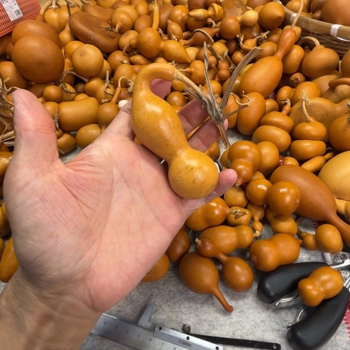 随***-水浒人的一把本场葫芦，你把本