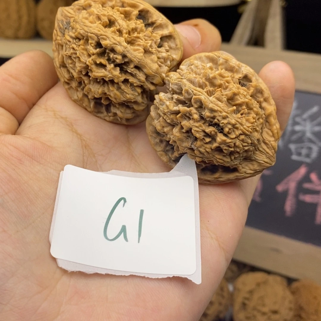 G1满天星全品老桩39+