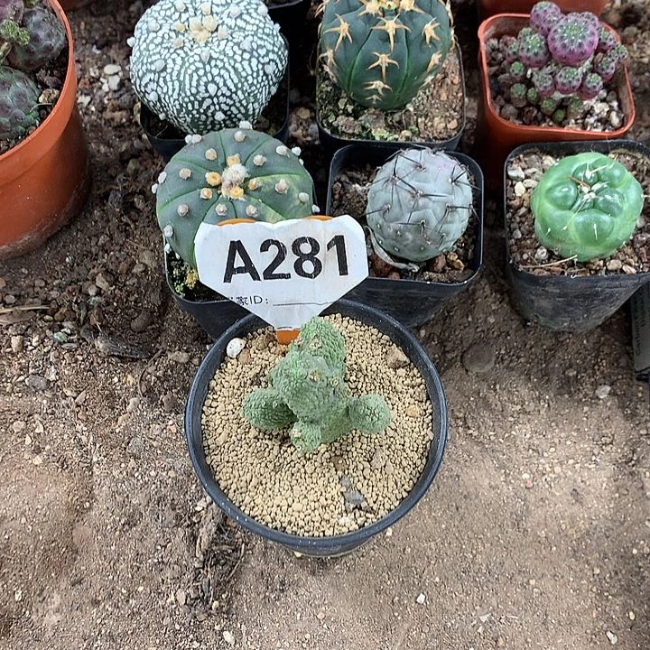 哇*塞3333333333333333