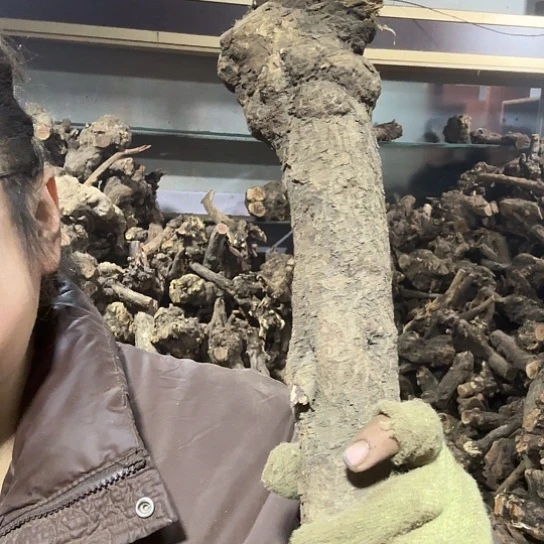 香榧木冬*火琉璃的故事毛料摆件摆件