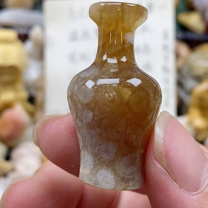 颈饰未镶嵌硅化珊瑚（珊瑚玉）