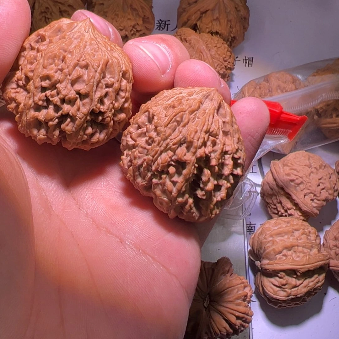 后*镜满天星全家福一套