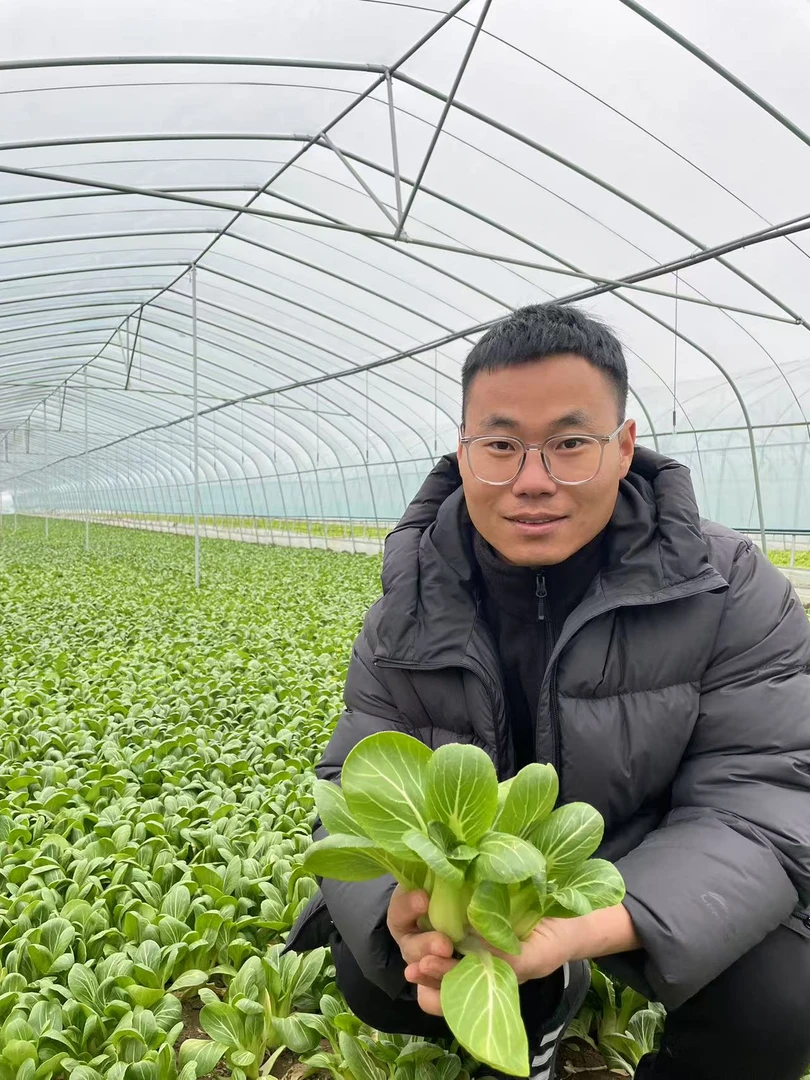 河南农家自种上海青小油菜青菜绿叶菜鲜嫩可口产地包邮3斤5斤