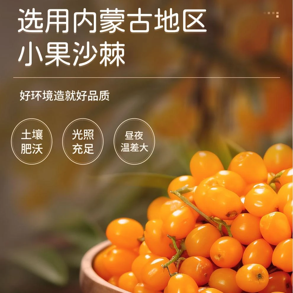 原产地鄂尔多斯直供小果沙棘生榨原浆 (50ml*10瓶)*6盒