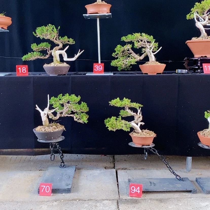 【闪购商品】完全开放御***音