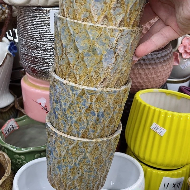 多肉植物套餐花盆