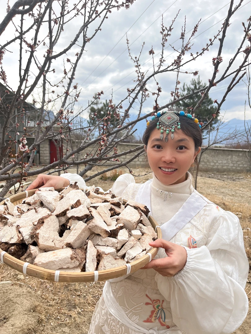 西藏拉姆茯苓250g
