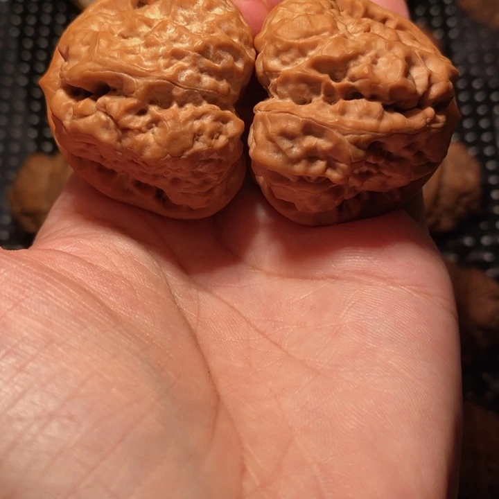 派***超文玩核桃把件蛙王