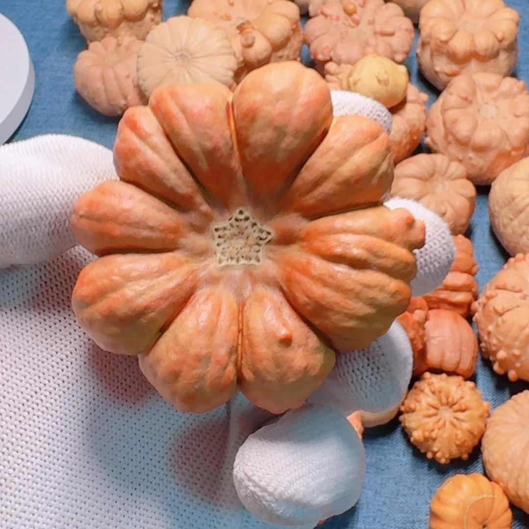 龙***葫芦墨西哥七彩疙瘩葫芦