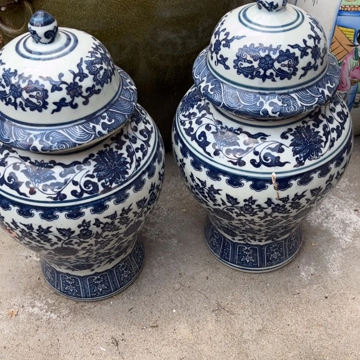 欢迎大家来看我欢迎大家来看我的小可爱