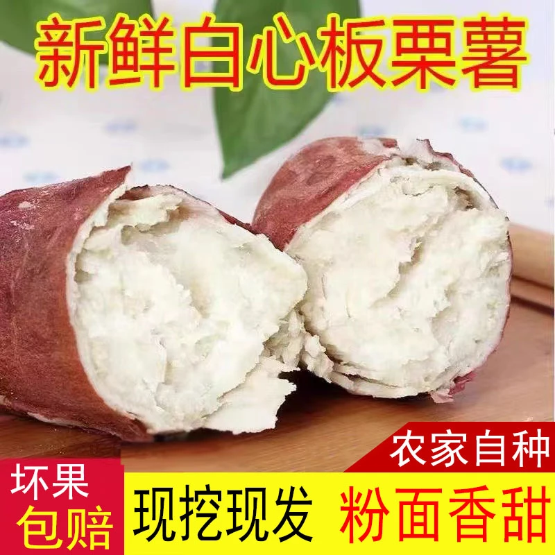 豫薯香25年白心红薯板栗红皮板栗薯2/9斤白薯商薯19白瓤地瓜