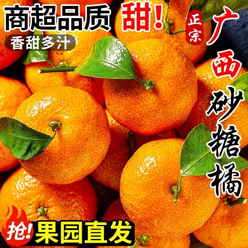 正宗广西砂糖橘新鲜水果当季现摘蜜桔金秋沙糖桔橘子贡柑整箱包邮