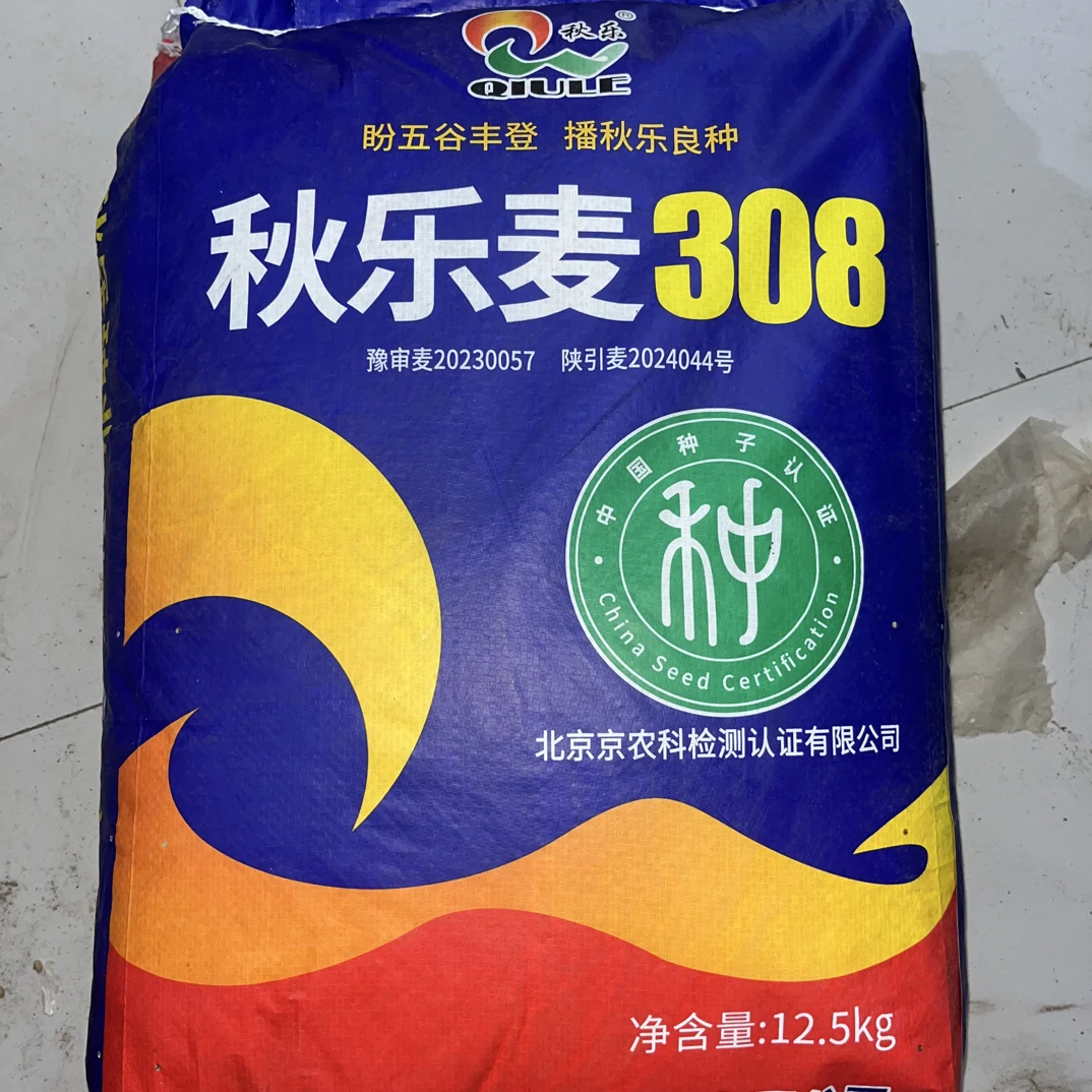【秋乐麦308】矮杆大穗抗倒伏抗病抗冻抗倒春寒