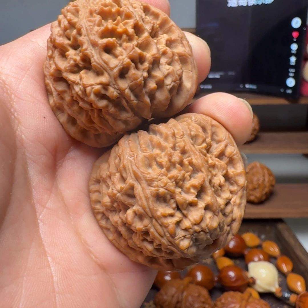 道哥俱乐部t南疆45