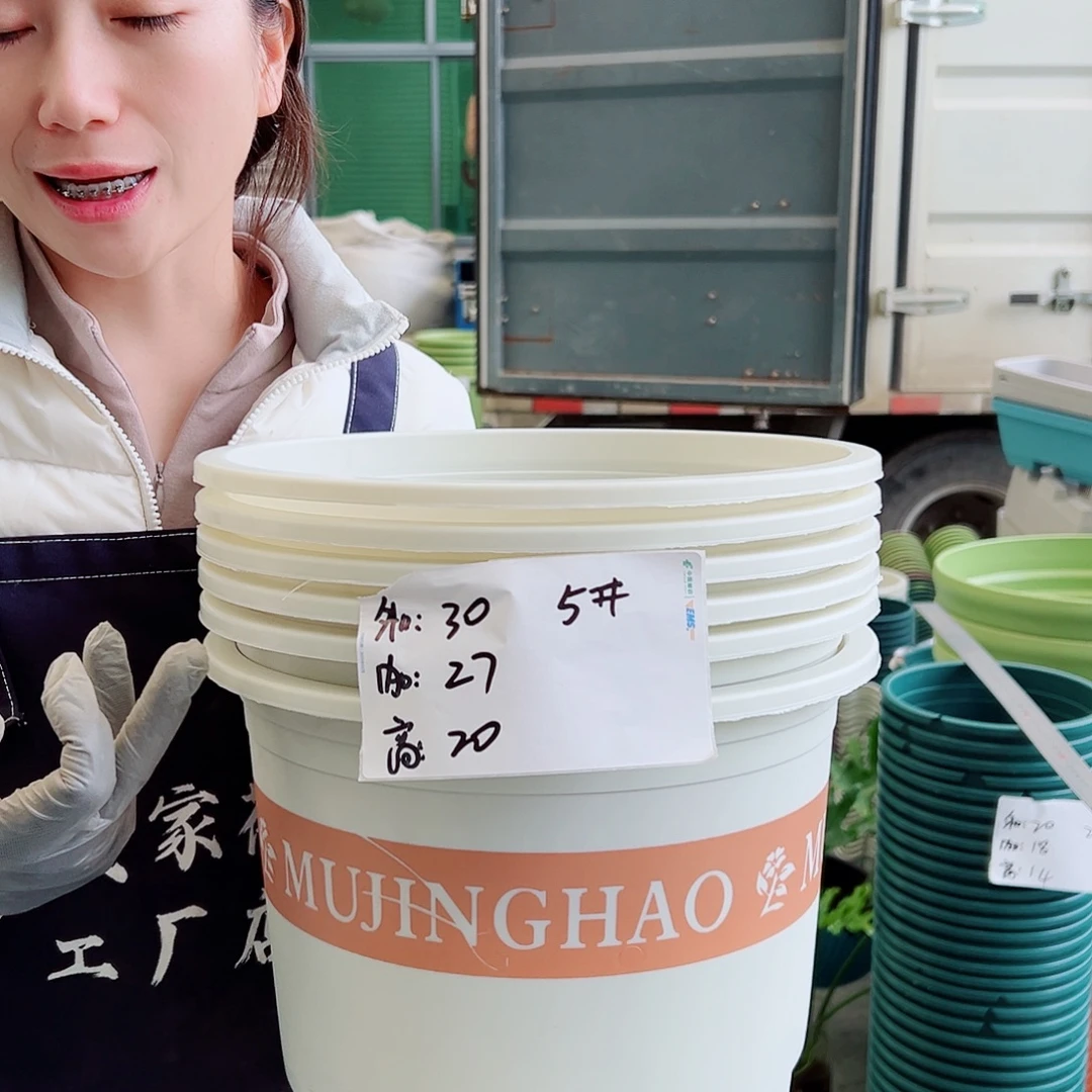 瑕疵矮胖5#米白6个无托