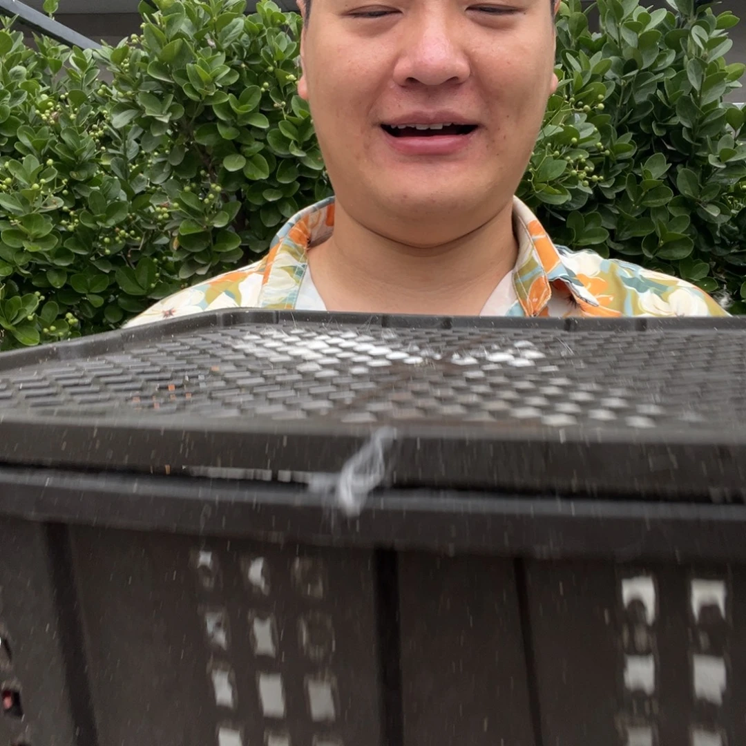 @****1111111111111宠物