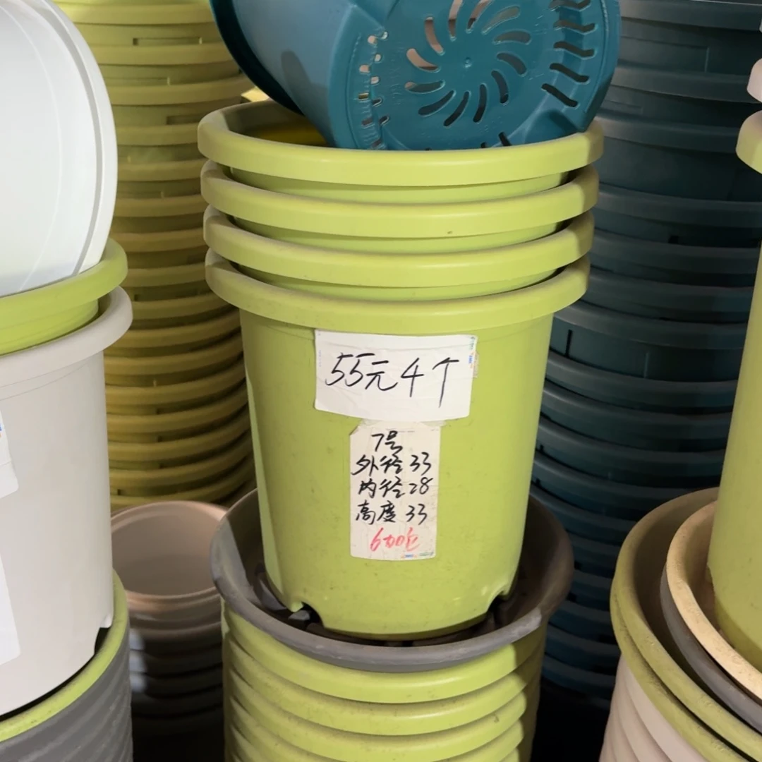 四季7#口径33高33无拖果绿6个