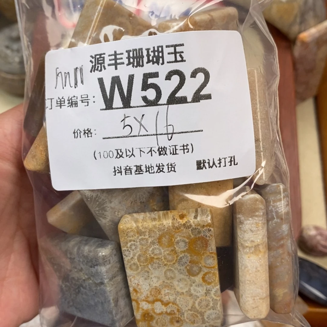 硅化玉颈饰未镶嵌n***1