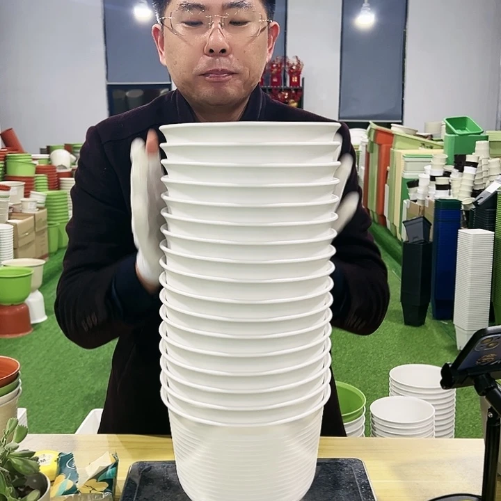 正品矮陶口21高15白色8只无托