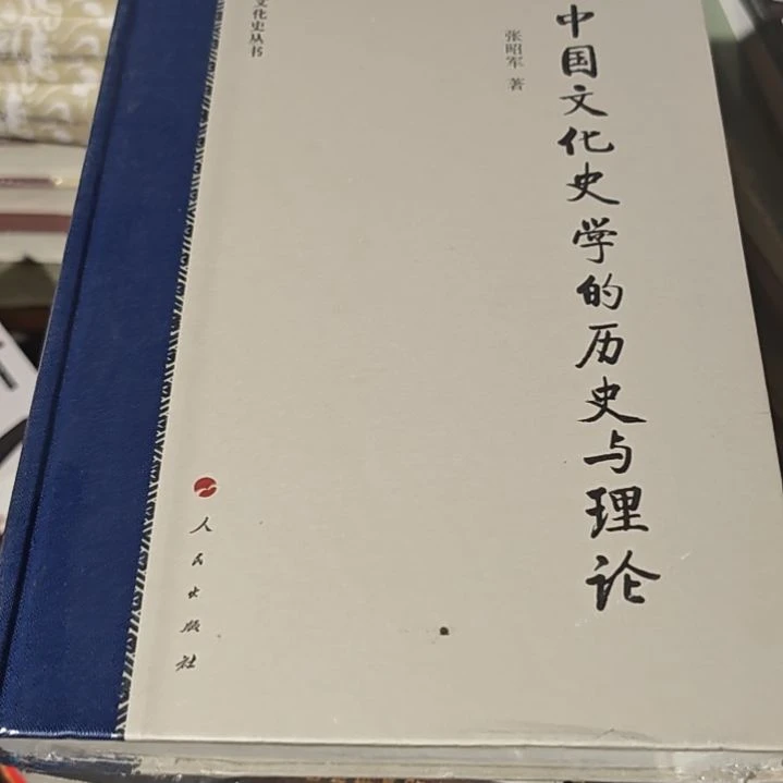 中国文化史学的历史与理论精装