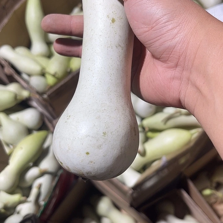 非洲紫檀（红花梨）西****风