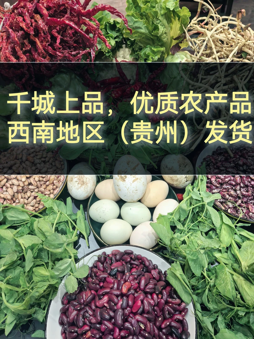 （千城干货）贵州高山农家露天种植