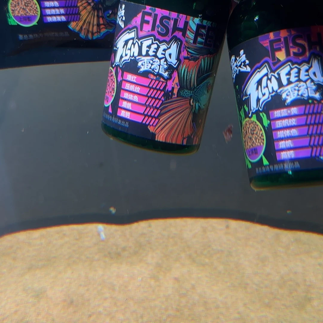 热带鱼公10111111