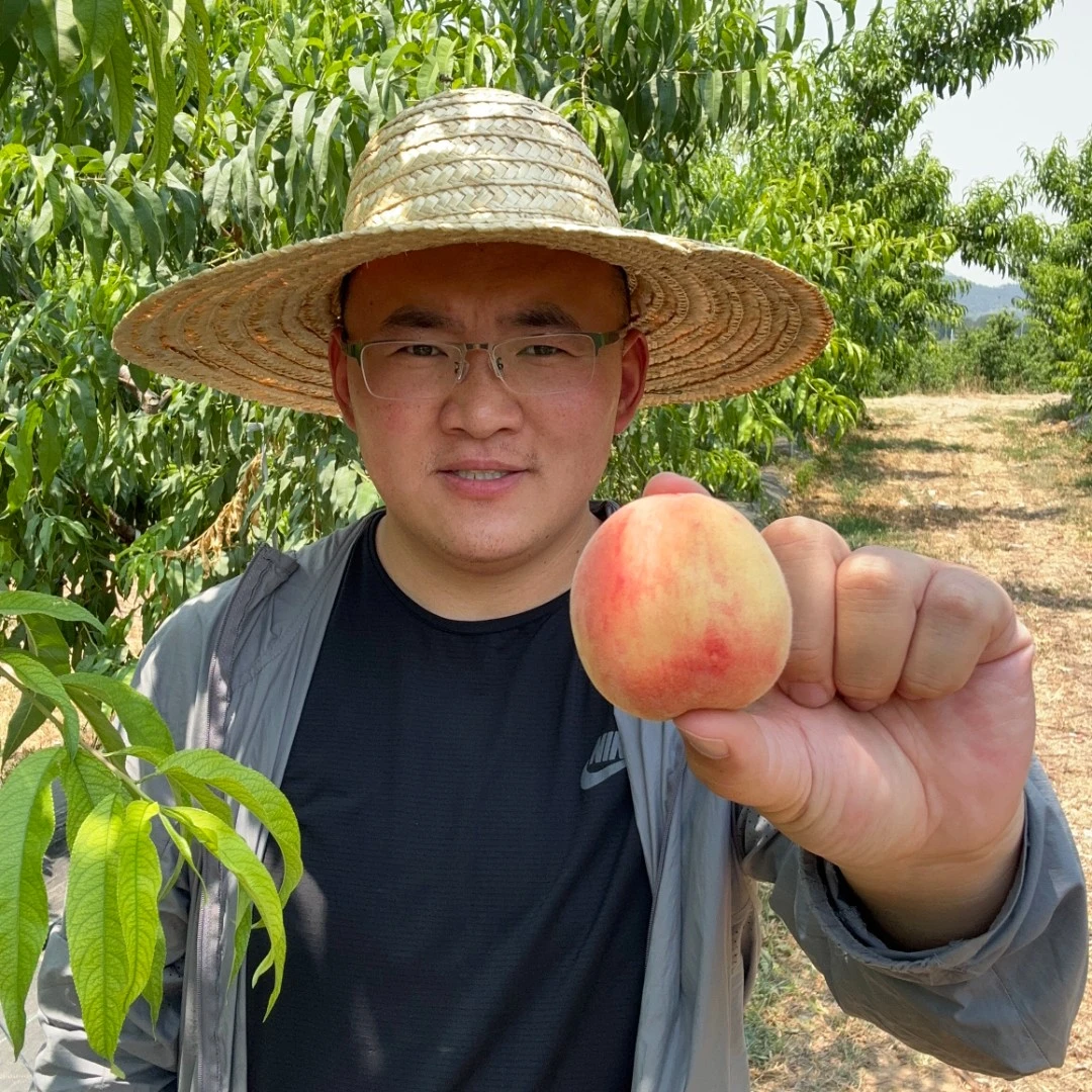 【顺丰】山东3号水蜜桃 净重3.4-4.5斤 售后时间24小时内