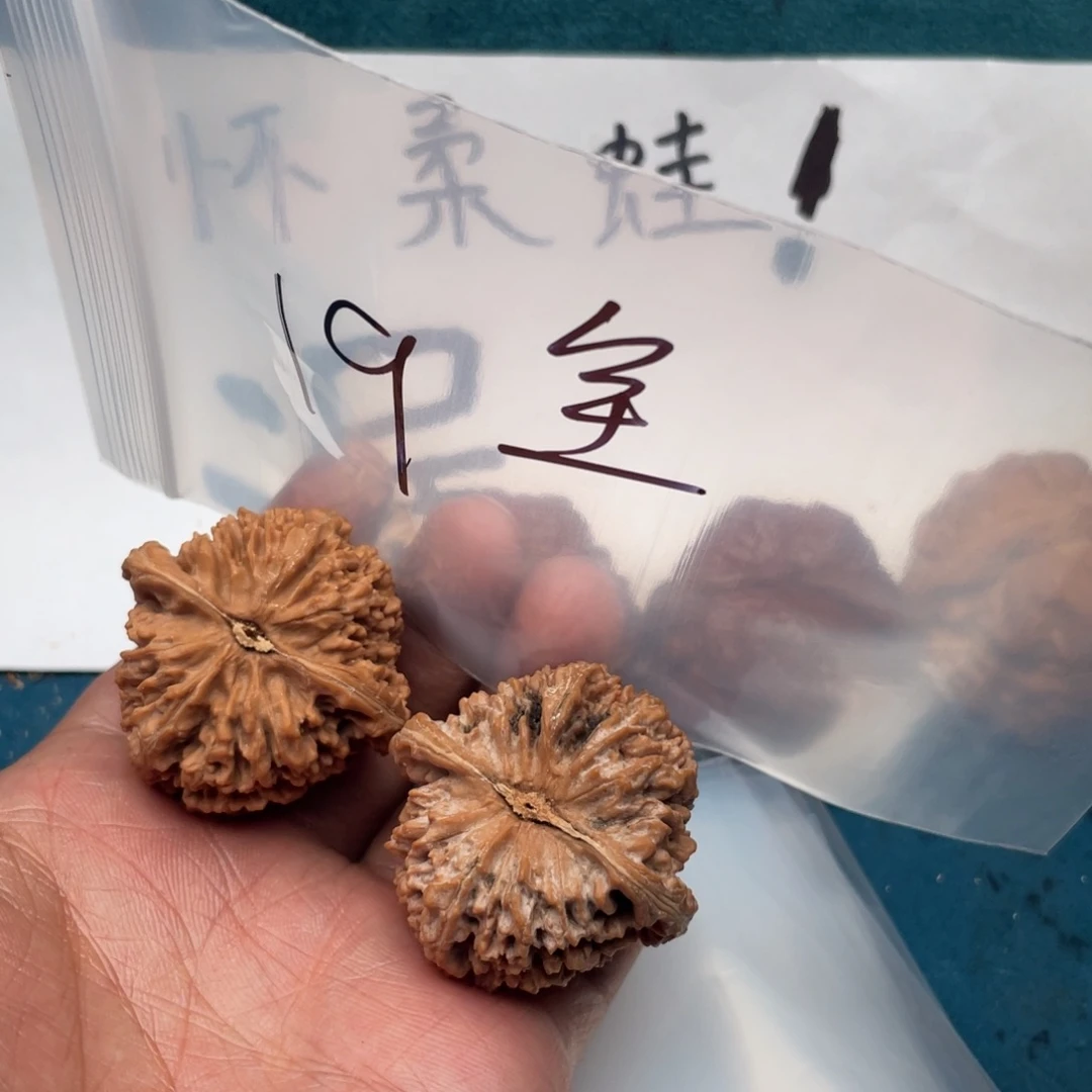 核桃573375375375375357753