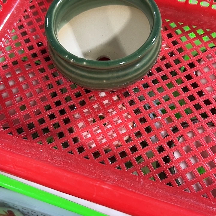 微瑕陶瓷花盆满9.9发