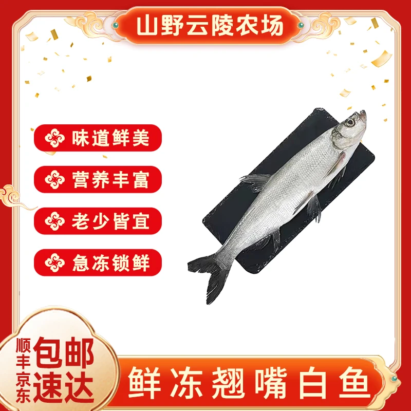 山野云陵农场鲜冻翘嘴鱼白鱼400g*3去鳞去腮去内脏新鲜肉质鲜嫩