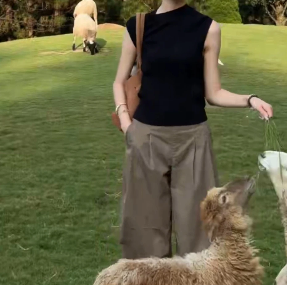 时尚潮流百搭精品女装dgd1496