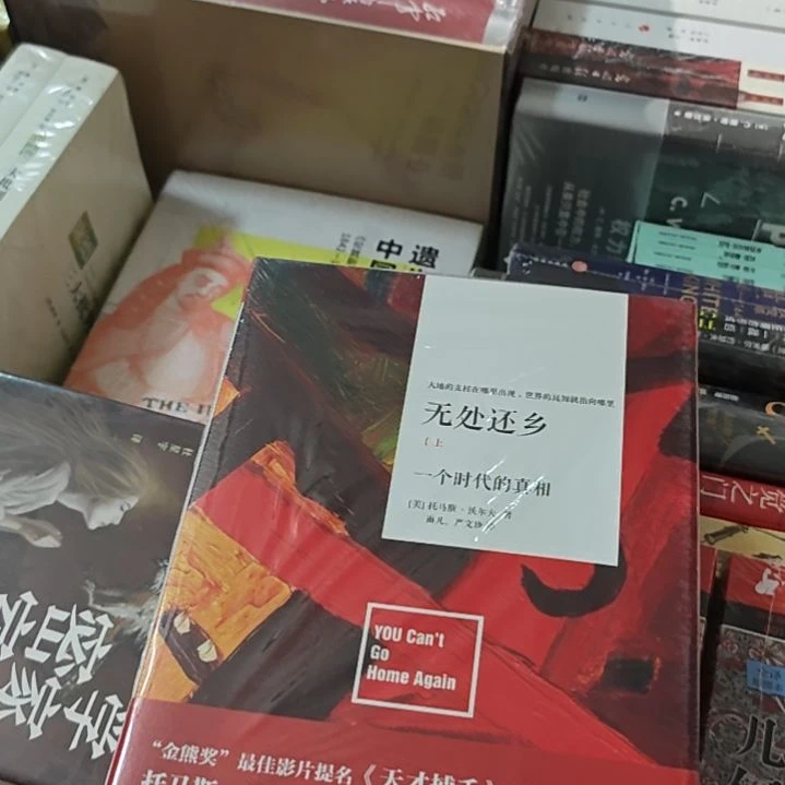 无处还乡一个时代的真相托马斯沃尔夫著羽凡陈文珍翻译精装品相不