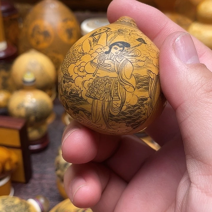 郑***上我是一只小小鸟地域