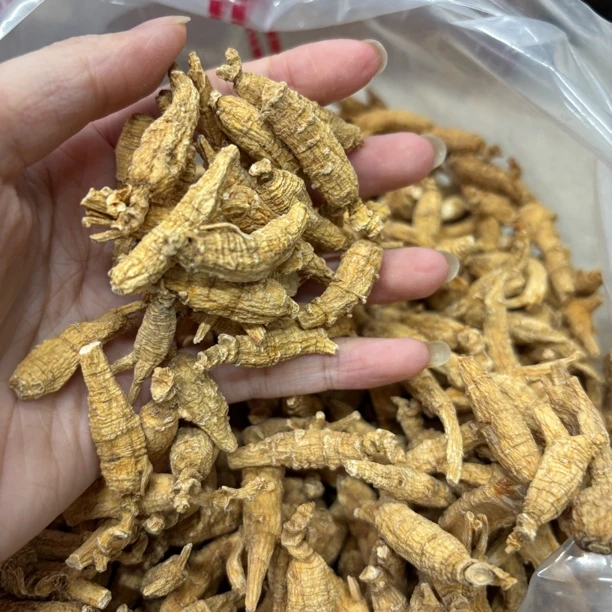 【直播间专享】精选花旗参250克