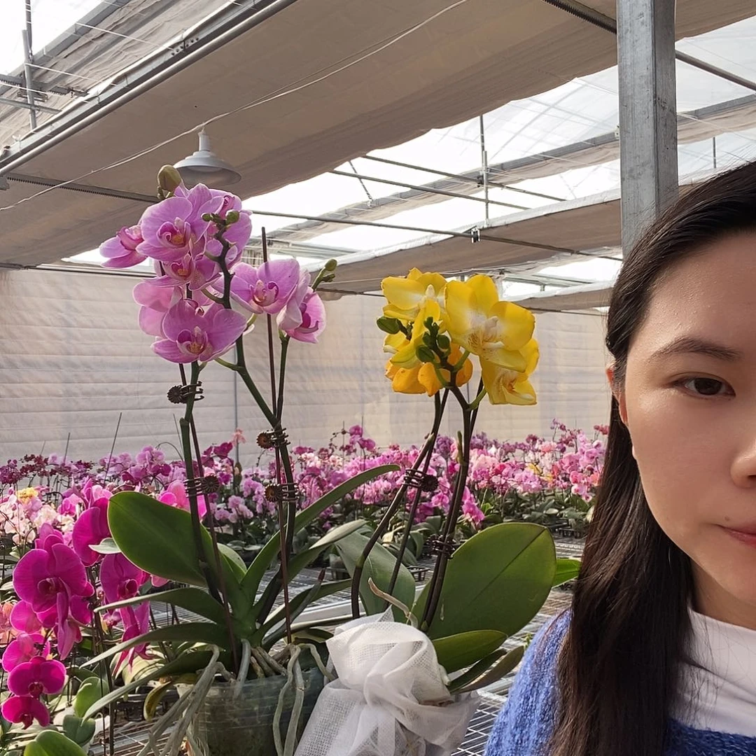 来***趣完全开放宝贝瑕疵➕阿雷佐一物一拍