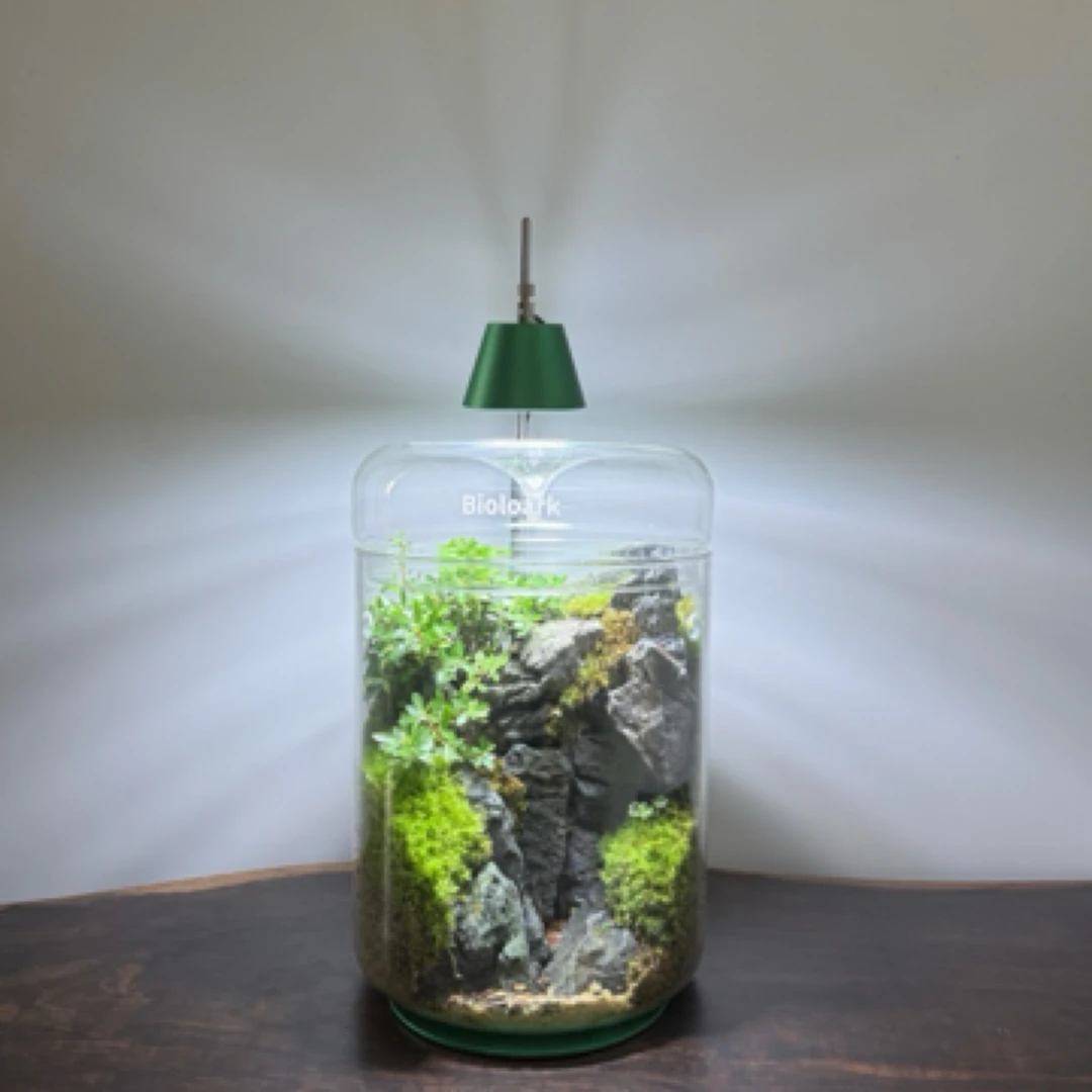 植酷【谧境】室内苔藓微景观 精致生态桌面景观 露集杯创意青苔大号