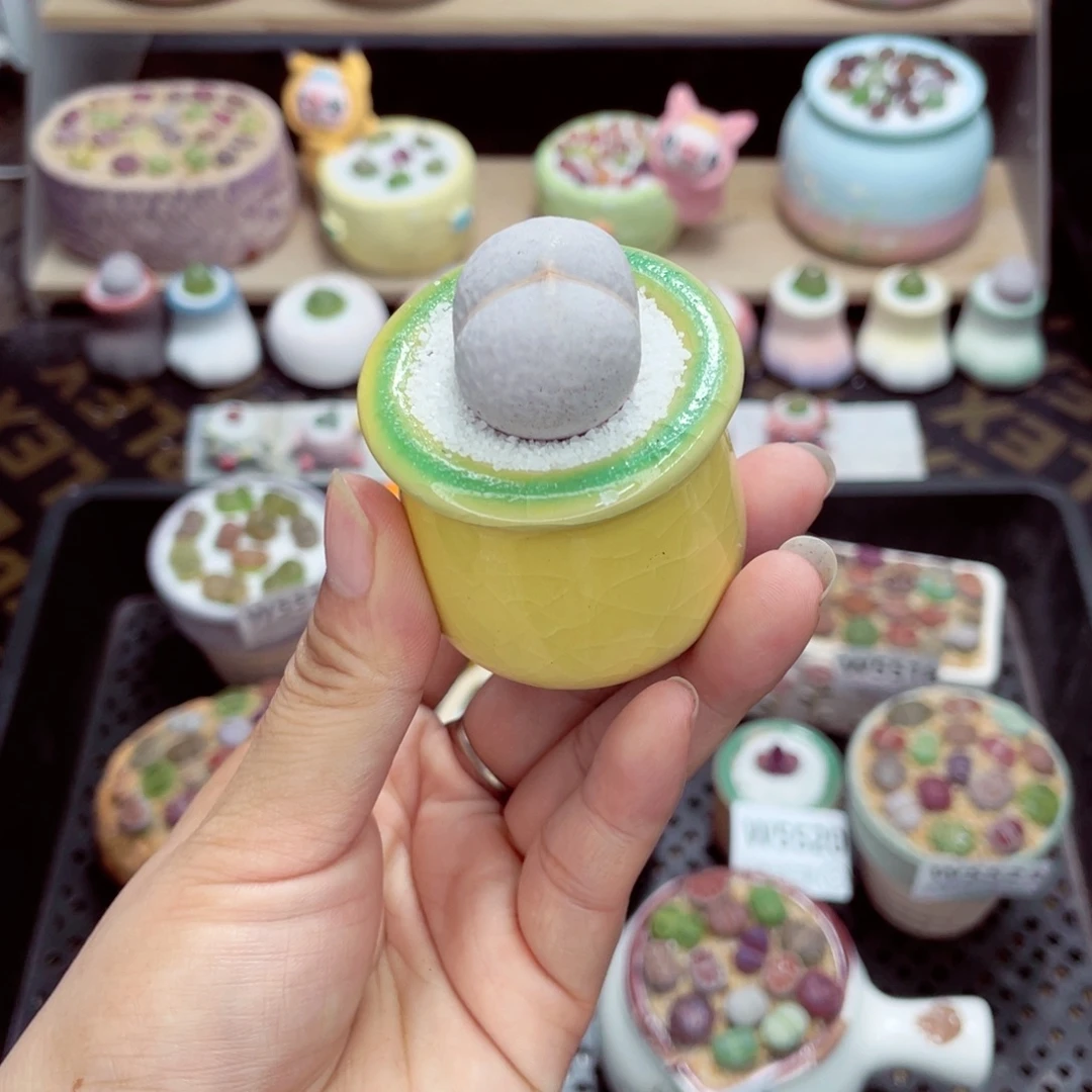 w5525 带盆土发货一物一拍