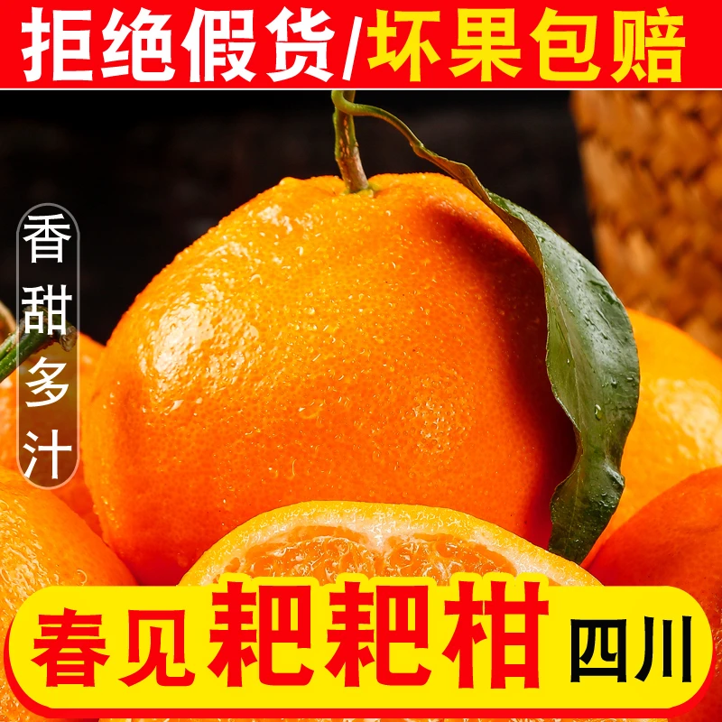 正宗四川春见耙耙柑粑粑柑桔子水果当季果园现摘带箱5斤