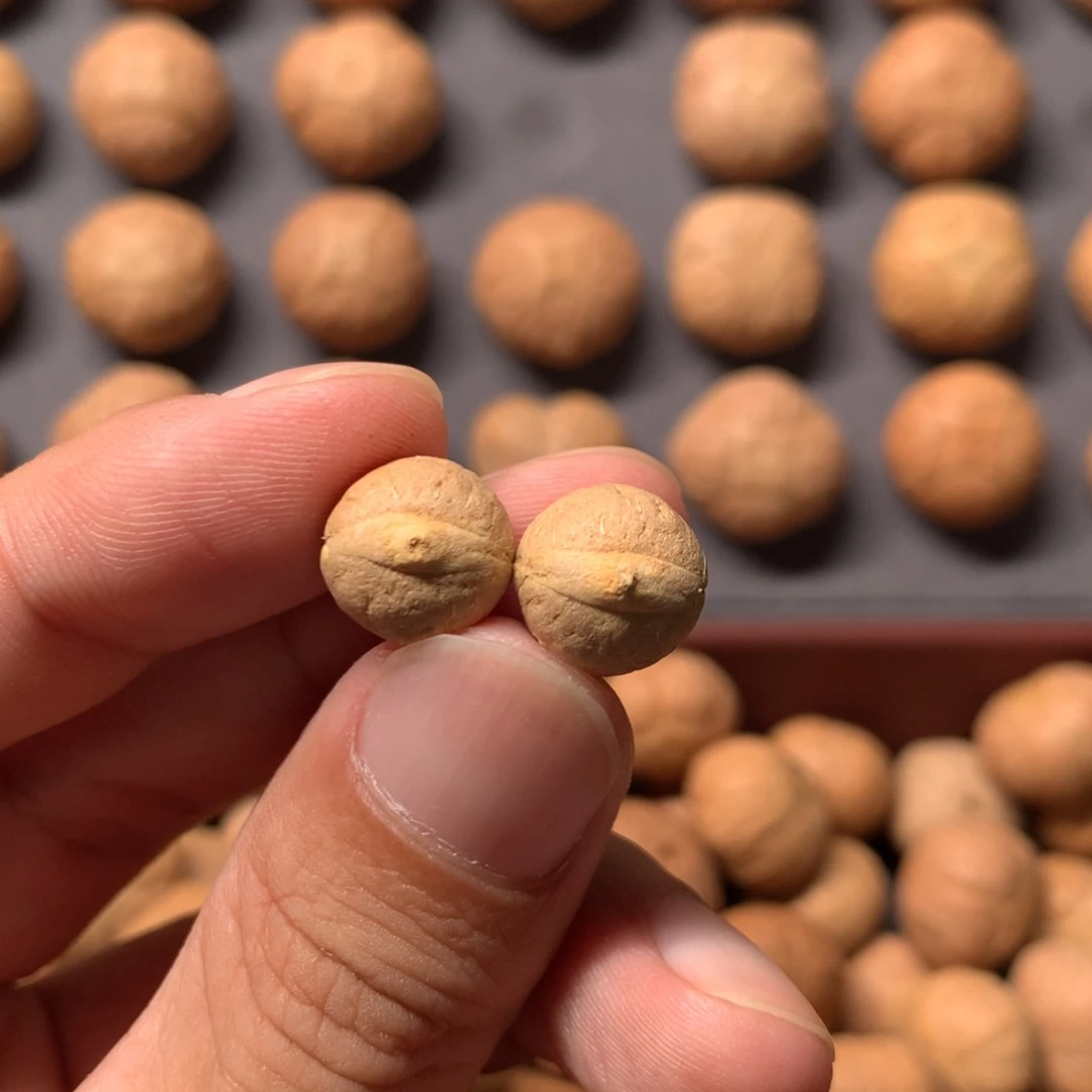 S***木吊坠凤眼菩提11mm实心小凤眼两颗